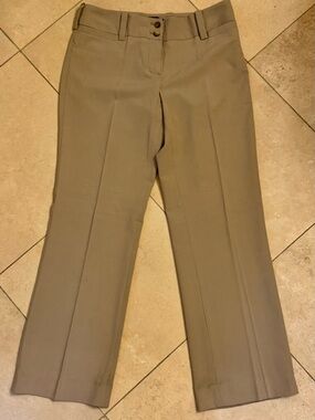 Focus 2000 Petite Dress Pants - Beige